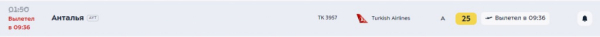 Туристы прилетят из Москвы в Анталью на 7 часов позже